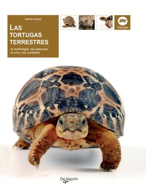 cover image of Las tortugas terrestres
